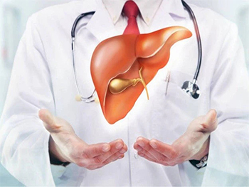 Can S-Acetyl-L-Glutathione Powder Help With Liver Health And Function?